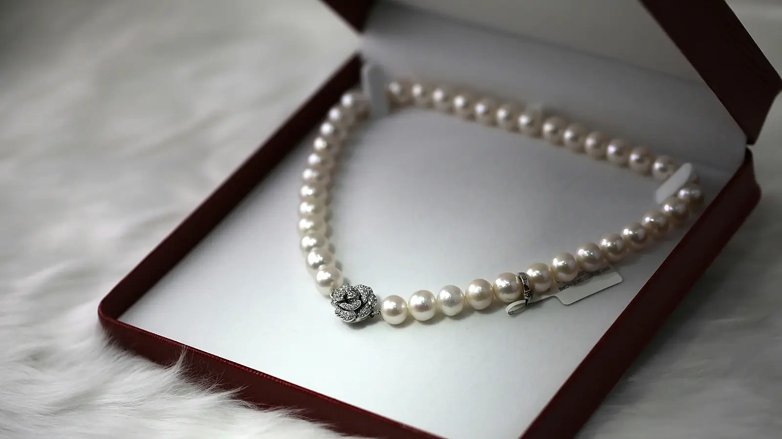 Jewelry & Accessories