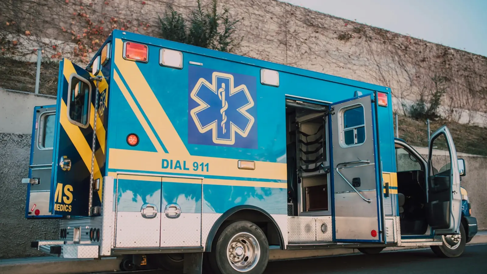 Emergency ambulance parked roadside representing public safety and essential government services.